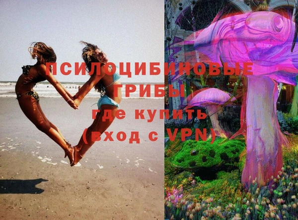 спиды Аркадак