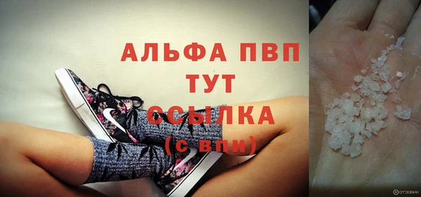 спиды Аркадак
