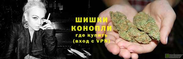 спиды Аркадак