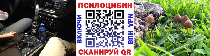 Псилоцибиновые грибы Psilocybe  Спасск 